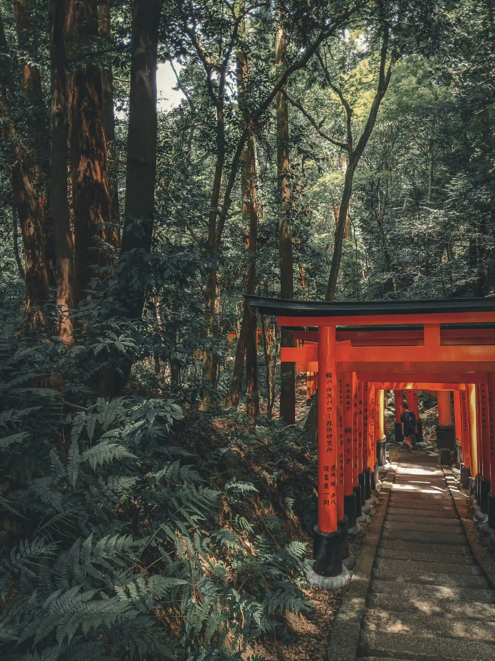 想去日本留学怕不适合？先做短期游学试试！