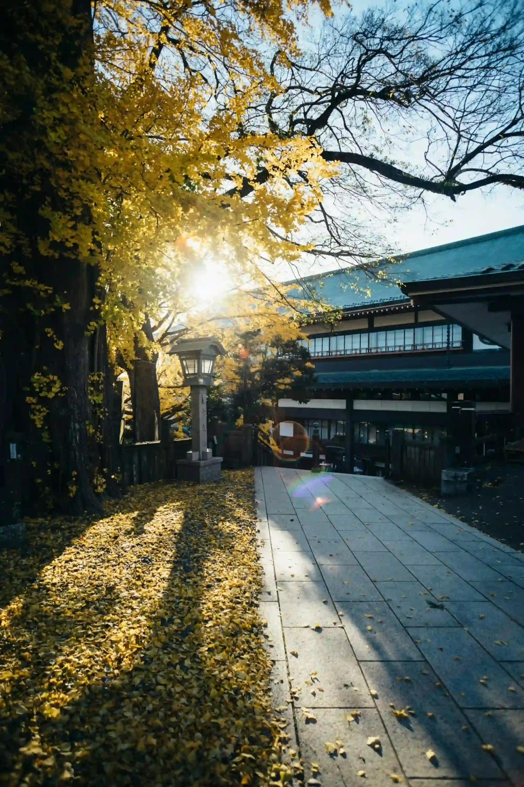 2026日本留学住宿选宿舍还是公寓？