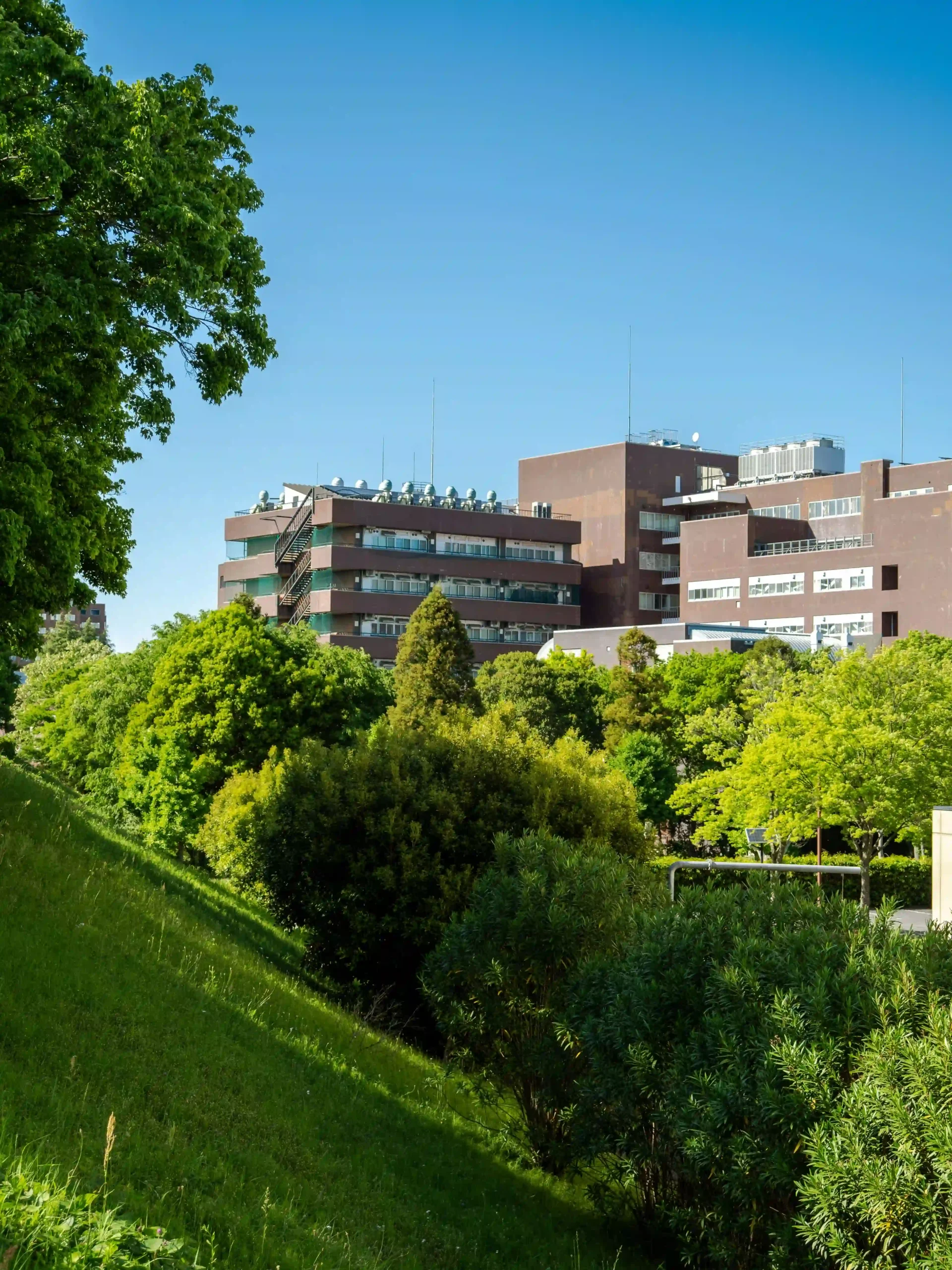 日本留学准备：签证、费用与打工许可申请！